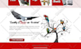 build a modern ecommerce website or personal brand site with wordpress
