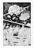 make comic or manga pages of your request