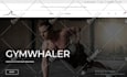 design and develop a responsive wordpress website design