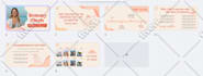 design a professional investor pitch deck in powerpoint canva google slides