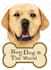 draw your dog in semirealist style