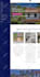 create a hotel, flight, tourism booking wordpress website