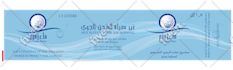 do graphics design in arabic and english layout