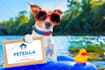 promote website or business with my pet model
