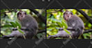 professionally bulk edit and enhance your photos