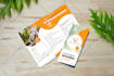 design an awesome trifold brochure