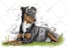 draw your animals and pets in my scribble art style