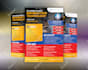 design a flyer, trifold, bifold with a free business card