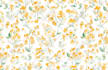 create unique and elegant floral patterns in watercolors