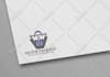 do tremendous logo design for your website, company, business or brand