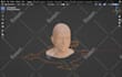 rig your 3d character in blender for animation,unreal ,unity
