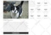 create custom duda widgets