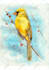 draw cute birds in watercolors