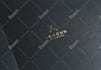 do modern luxury minimalist logo design in 24 hours