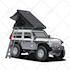 draw vector art cartoon from your car