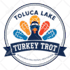 do manual vector tracing, vectorise logo, redraw, recreate in adobe illustrator