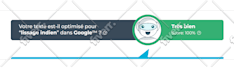 write an amazing french article