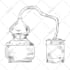 make hand drawn illustrations