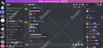 setup custom discord server within 24 hours