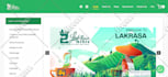 design stunning business wordpress website with mobile friendly