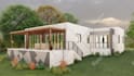 design interior, exterior and provide architectural 3d views