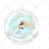 vectorize image, convert png, jpeg to svg vector logo file in adobe illustrator