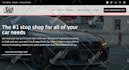 repair any kind of wordpress  bug and elementor errors