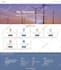 build asp net mvc asp net core web api blazor angular react angular