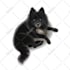 draw a cartoony custom pet portrait