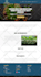 design a responsive ecommerce wordpress website