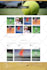 install wordpress theme, demo import, theme customization
