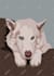 draw your pet with my style