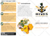 do creative infographic design and amazon infographics