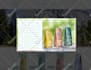 create a wonderful popup for your shopify, wix, squarespace website