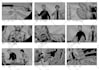 be your professional storyboard artist