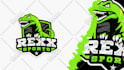 design badge or mascot logo for your sport team