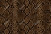 design seamless repeat vector patterns for textile prints