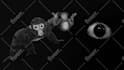 create you a gorilla tag thumbnail