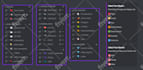 set up a professional custom discord server completely