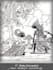 send dwarapala spirit and bhairava initiation attunement