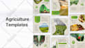 design professional social media posts or banners for you