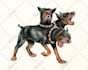 draw color pencil sketch or digital drawing as your demand