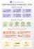 create an infographic that builds trust and authority