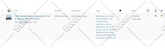 do yoast on page SEO and write articles on wordpress website