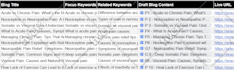 boost local seo to rank higher on google maps and website