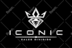 do creative, unique and tremendous business logo design