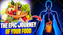 make view boosting youtube thumbnail in 2hrs