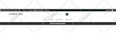 do professional wordpress website with elementor pro