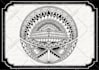 create an original polynesian,tribal tattoo design for you
