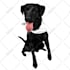 draw vector for animal or any pet in 24 hours